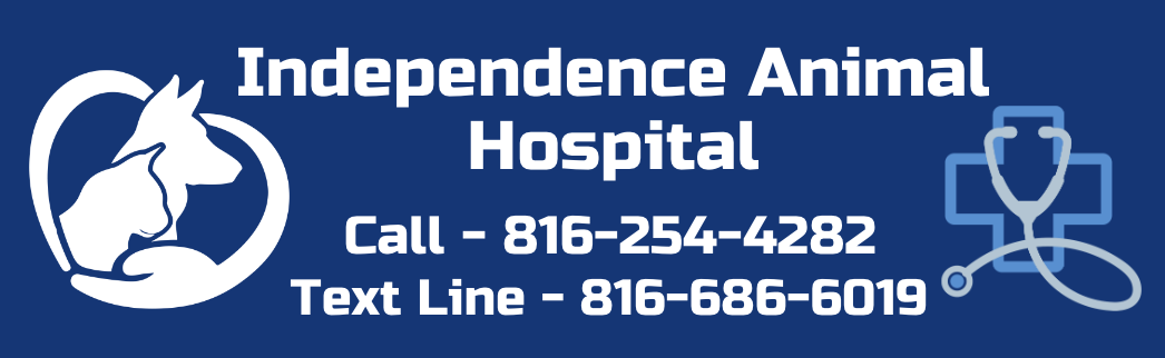 Independence Animal Hospital